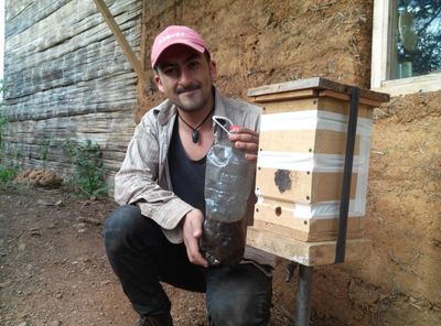 Appât_pour_abeilles_Melipona_Capture.PNG